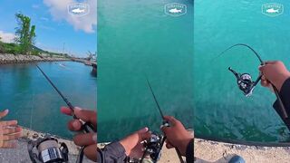 ของดี ณ ไทซาโก้ ภูเก็ต: почему все хвалят Vanquish C2000SHG