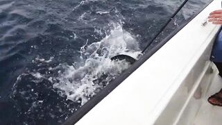 12 часов на глубинной бровке возле Дубая тяжёлая морская рыбалка