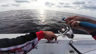 12 часов на глубинной бровке возле Дубая тяжёлая морская рыбалка