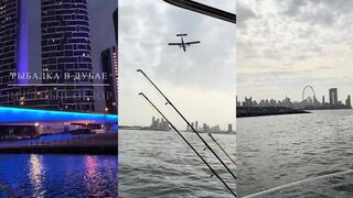 Dubai (Дубай) честный обзор выхода на море что по ценам и по поклевкам