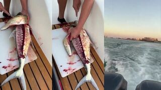 Dubai: морская рыбалка и рыба Королева разделка улова прямо на борту