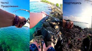 Мальдивы трофей на крючке какой рыбе тут верят больше всего