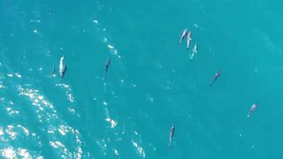 Magey Raajje Equatic Vibe и островной вайб как там выглядит берег