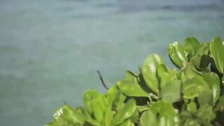 Magey Raajje Equatic Vibe и островной вайб как там выглядит берег