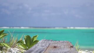 Magey Raajje Equatic Vibe и островной вайб как там выглядит берег