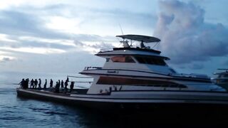 Kudahuvadhoo: Niumath-3 Mas beynun и куда они выходят за уловом