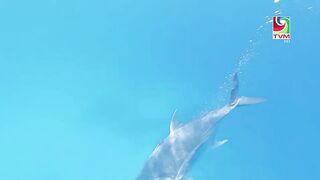 Maakeyolhun EP01 старт серии и островной быт у воды о чем выпуск