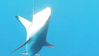 Maakeyolhun EP01 старт серии и островной быт у воды о чем выпуск