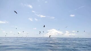 Maldives magoodhoomasverin Riveyra и местный рыбацкий движ у берега