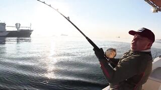 Fujairah/Фуджейра - трофейная Mahi mahi в ОАЭ серия 1 старт