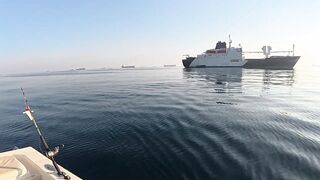 Fujairah/Фуджейра - трофейная Mahi mahi в ОАЭ серия 1 старт