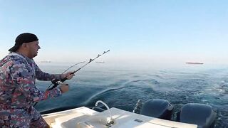 Fujairah/Фуджейра - трофейная Mahi mahi в ОАЭ серия 1 старт