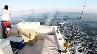 Fujairah/Фуджейра - трофейная Mahi mahi в ОАЭ серия 1 старт