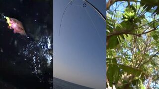 Фуджейра UAE: отдых у моря и ловля рядом с пляжем без ссылок