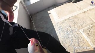 морская рыбалка в Fujerah: حداق وجيقنج и как держат джиг на течении