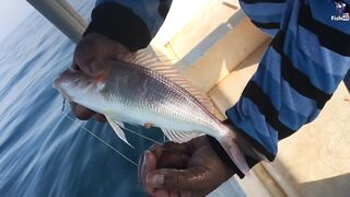 морская рыбалка в Fujerah: حداق وجيقنج и как держат джиг на течении