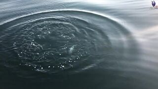 морская рыбалка в Fujerah: حداق وجيقنج и как держат джиг на течении