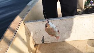 морская рыбалка в Fujerah: حداق وجيقنج и как держат джиг на течении