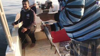 морская рыбалка в Fujerah: حداق وجيقنج и как держат джиг на течении