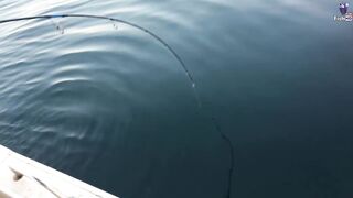 морская рыбалка в Fujerah: حداق وجيقنج и как держат джиг на течении