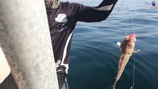 морская рыбалка в Fujerah: حداق وجيقنج и как держат джиг на течении