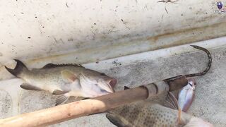 морская рыбалка в Fujerah: حداق وجيقنج и как держат джиг на течении