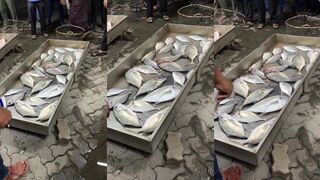 الامارات الفجيرة короткий шорт, что там клюет на прибое