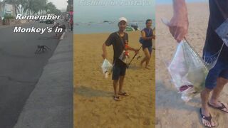Pattaya Паттайя сначала обезьяны теперь ловля рыбы что они стащили снова?