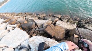 Морская рыбалка в Pattaya - твичинг с берега по прибойной волне