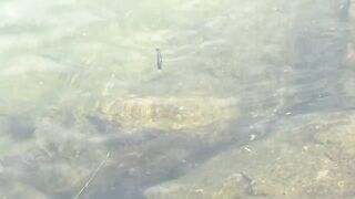 Морская рыбалка в Pattaya - твичинг с берега по прибойной волне