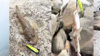 Морская рыбалка в Pattaya - твичинг с берега по прибойной волне