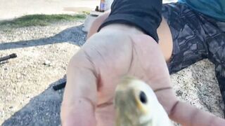 Pattaya (Паттайя) Ban Amphur есть улов с берега и что сработало по наживке