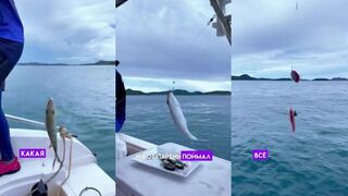 Паттайя выход к морю вечером и что ловят на простую оснастку