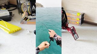 Pattaya/Паттайя: какая рыба ловится и какие приманки реально нужны