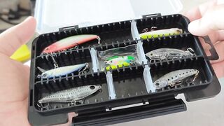 Pattaya/Паттайя: какая рыба ловится и какие приманки реально нужны