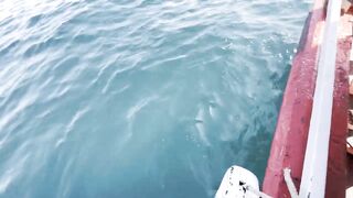 Pattaya Паттайя морская рыбалка 2024 что реально ловят за день на лодке