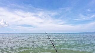 морская рыбалка в Pattaya นาจอมเทียน ซอย 8 где лучше стать на закате