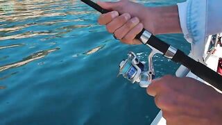 Алания. Один выход с Шавкатом и местная рыбалка встала по местам