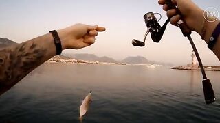 Алания. В порту рыба встала под мормышку