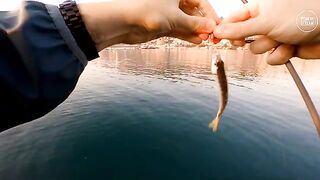 Алания. В порту рыба встала под мормышку