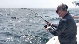 Три выхода, один рабочий день - рыбалка в Омане по GT на поппер