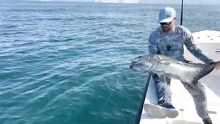 Северный Оман и GT под сорок - рыбалка в Омане вдоль скал