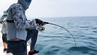 Южный Оман. До амберджека не добрались, но день рыбой все равно шумел