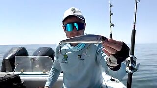 Маскат. Тунец крутился под дельфином, но решал один точный заброс