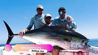 Южный Оман. Три дня на нервах, а в финале тунец под девяносто