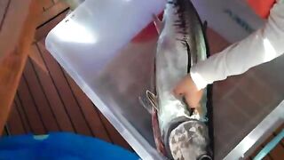 Лимасол и один рабочий тунец - морская рыбалка на Кипре на четвертом часу