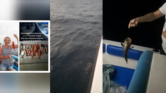 Тодду ночью - морская рыбалка на Мальдивах с муреной вместо мелочи