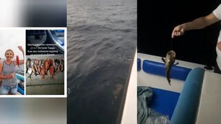 Ночью думали, что на леске обычная возня, а на Тодду вылезла настоящая мурена