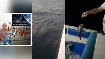 Тодду ночью - морская рыбалка на Мальдивах с муреной вместо мелочи