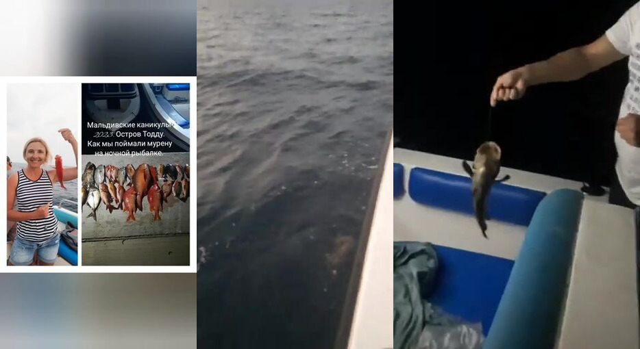 Тодду ночью - морская рыбалка на Мальдивах с муреной вместо мелочи
